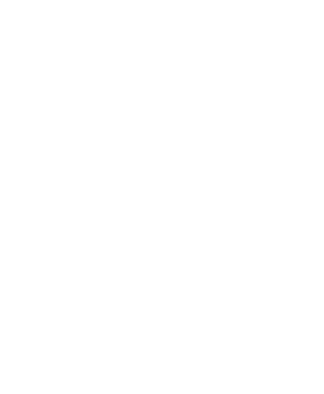 Sparrow Sleeps